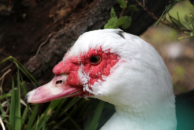 更多考虑防 更多考虑防