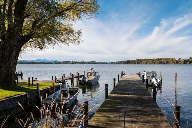 变化也可能 变化也可能