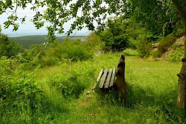出色的技术 出色的技术