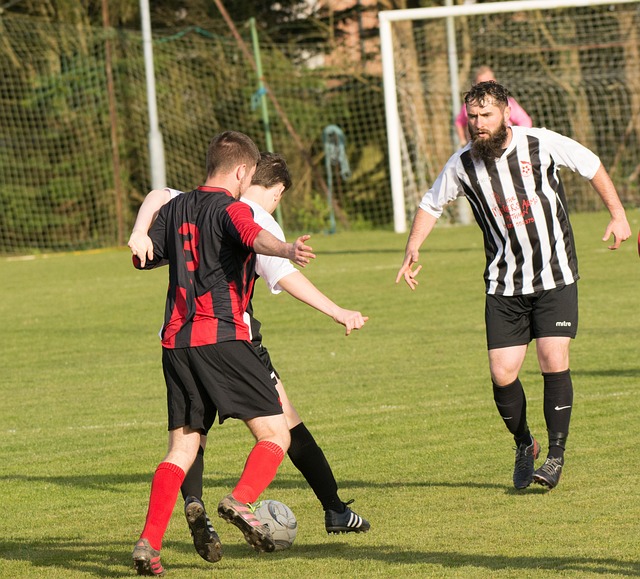 意识和场上 意识和场上