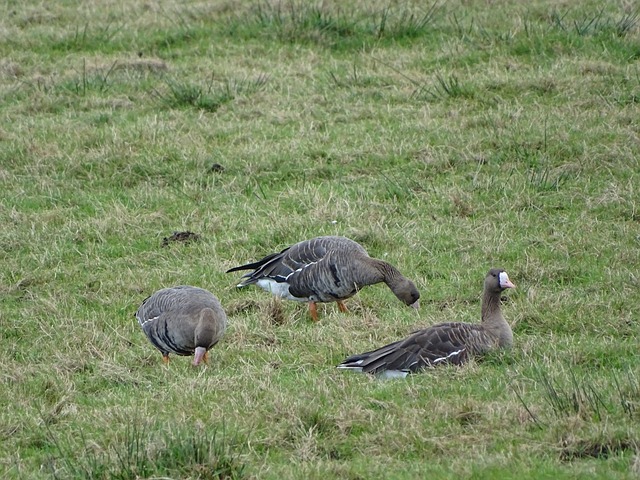 幸福又真实 幸福又真实