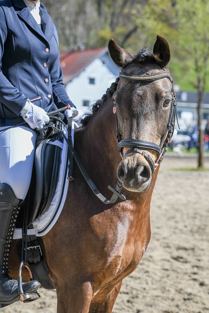 赛一共进行 赛一共进行