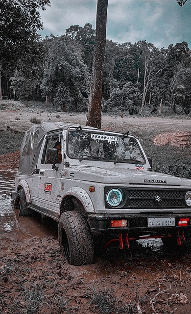 罚款等惩罚 罚款等惩罚