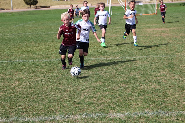 法国与德国 法国与德国