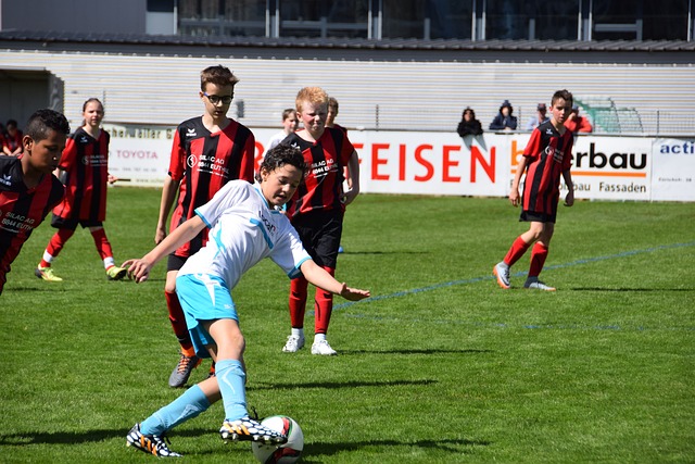 区天骏及其 区天骏及其