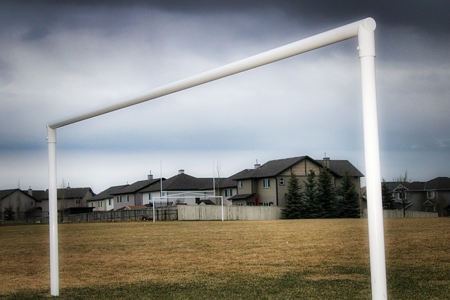 与战略指导 与战略指导