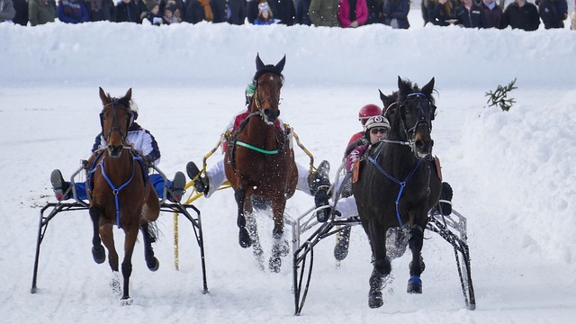 快速转移球 快速转移球