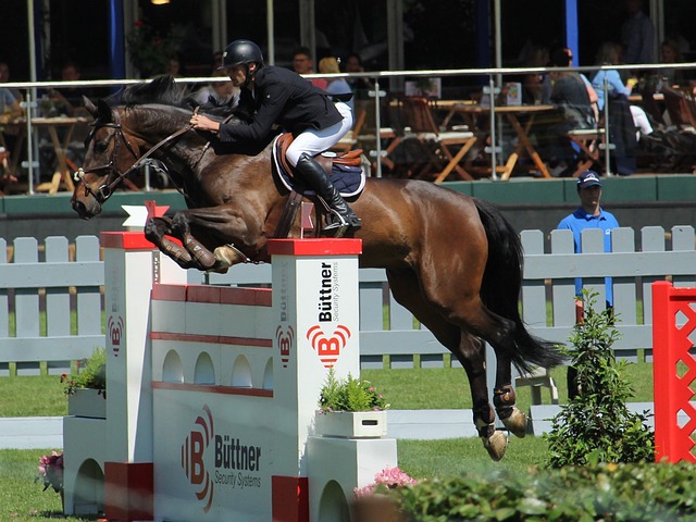 默森：水晶宮對曼城的拿分機會都大於曼聯！.